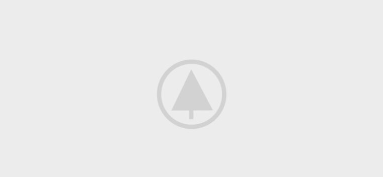 wood-gallery-placeholder-5 wood-gallery-placeholder-5