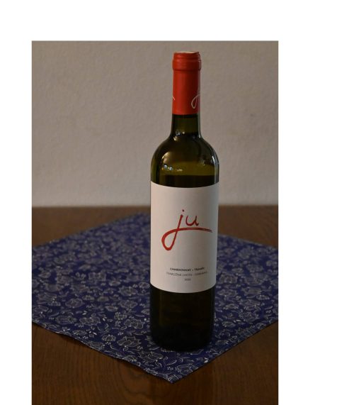 chardonnay x tramín Chardonnay x Tramín 2022 - Obrázek 1