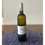 Sauvignon  2023 pozdní sběr