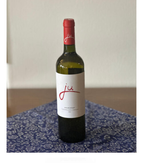 vinouricar_ryzlink_rynsky_2023 Ryzlink rýnský 2023 - Obrázek 1