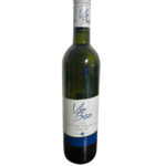 Müller Thurgau 2024 pozdní sběr